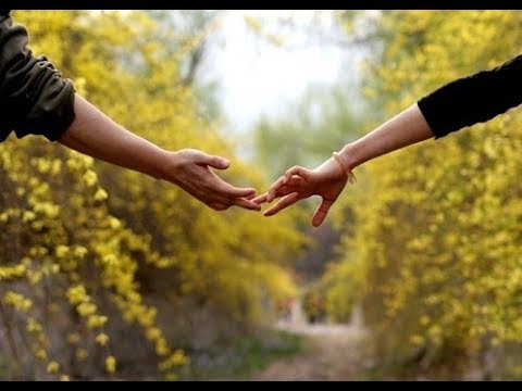 नको सोडून जाऊ मला माझ्या गुलाबाच्या फुला