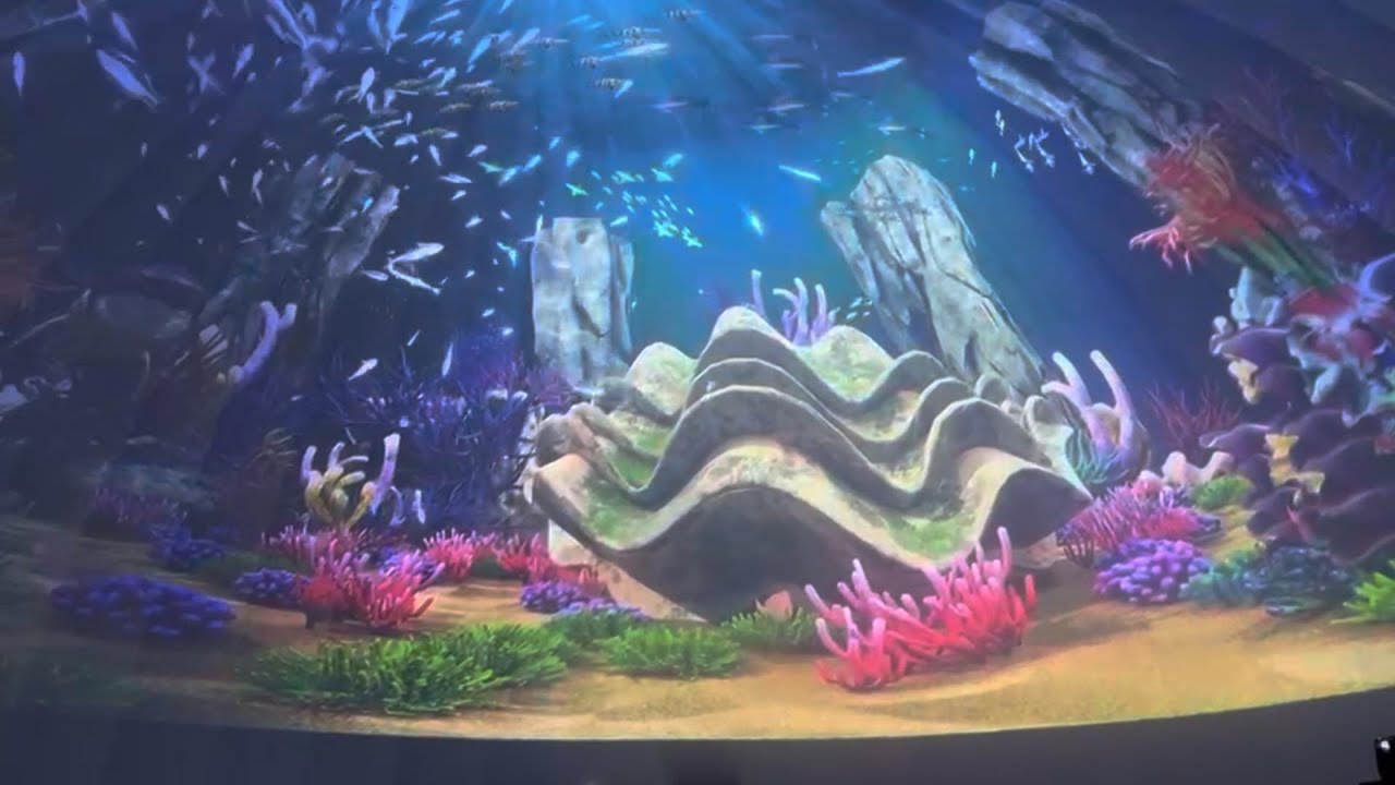 Dome Projection Cinema Case Study 02 - DIFWOD - YouTube