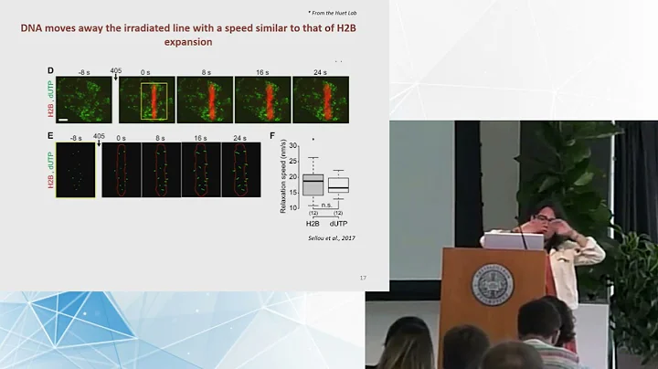 Short Talks: 2024 Summer School | Genome Architecture and Function Workshop