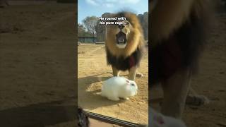 Instead Of Eating Him... He Did This