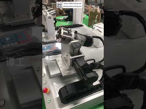 Five Axis Dual System Auto Dispensing Machine  Industrial Factory Automation  Smart System
