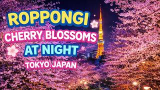 Cherry Blossoms Roppongi Night Viewing