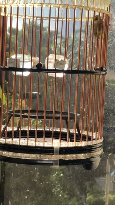 Abc New puteh learning to buka (