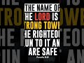 Proverbs 18: 10 #spiritual  #spirituality