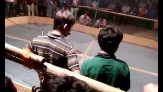 Techkriti'15, IIT Kanpur, wildsoccer