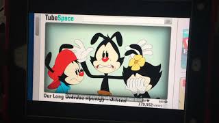 Our Long Overdue Apology by Animaniacs