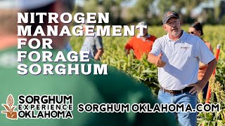Nitrogen Management - Sorghum Oklahoma
