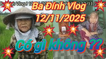 Ba Đính Vlog ! 12/11/2025 ! Ngày hôm nay sẽ có chuyện gì xảy ra không hay bình thường trôi qua