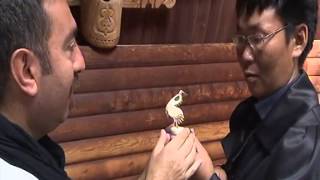 Saha Yeri Yakutistan