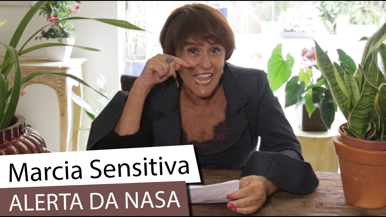 Marcia Sensitiva: plantas recomendadas pela NASA entretenimento para casamento