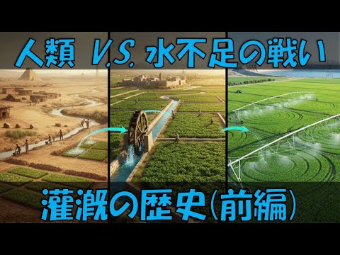 灌漑システムの選び方、私が比べてわかったベストな方法