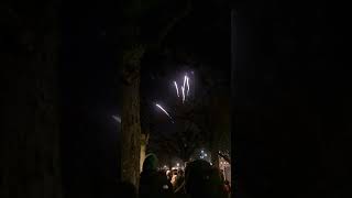 Feuerwehrk in Silvester Nacht in Zürich