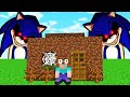 SONIC MUTANT CHALLENGE in Minecraft- Minecraft Battle: NOOB vs PRO / Animation