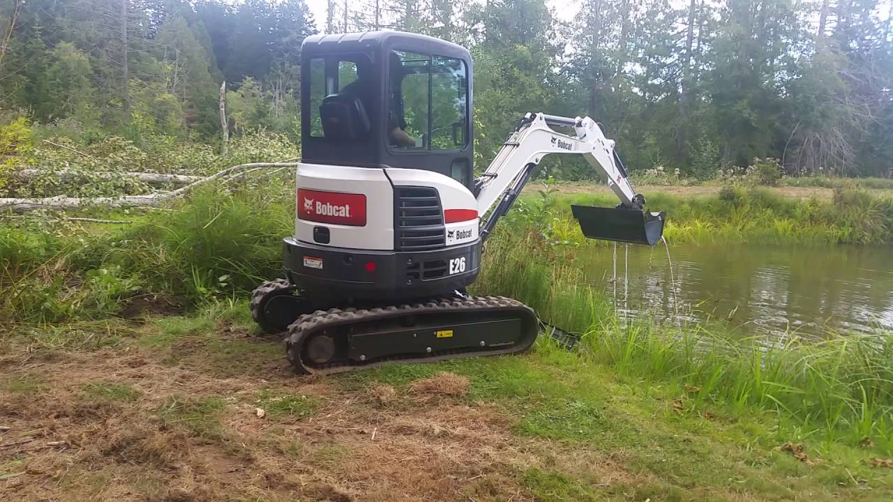Bobcat E26 watering bamboo YouTube