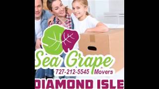 727-212-5545 Diamond Isle Movers Diamond Isle Mover Diamond Isle Moving Company Diamond Isle