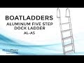 RecPro Aluminum Dock Ladder - AL-A5
