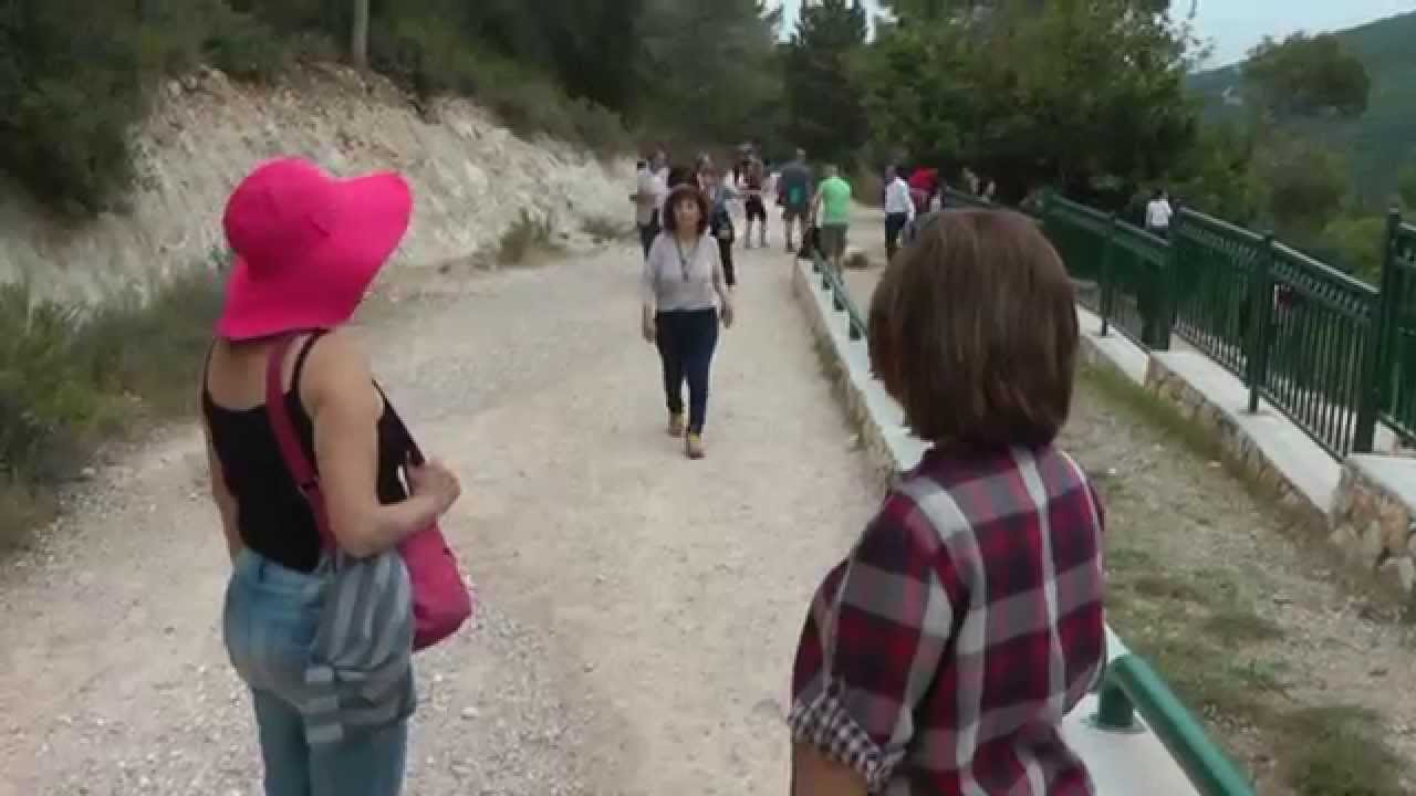 גשרים תלויים בנשר