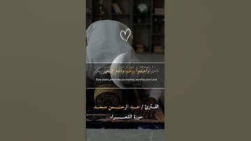 اركعوا واسجدوا لله | سوره الحج | قران يريح ققلبك وسمعك ❤️❤️| عبد الرحمن مسعد
