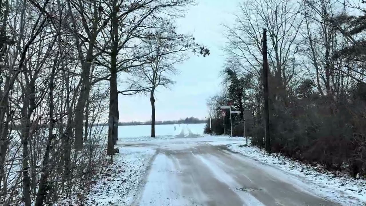 Silent Winter Paths in Early Evening ❄️ | Peaceful Snowy Nature Walk