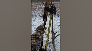 One of the best videos I’ve ever gotten! #shorts #deerhunting
