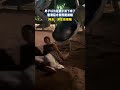 男子以为是妻子滑下来了，看清后才发现是弟媳，网友：求生欲很强 #大熱門