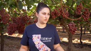 California Goodness Grape Farmhers