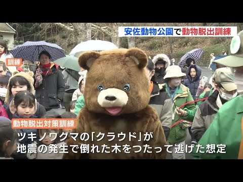 【訓練】ツキノワグマが逃げた！地震発生で倒木をつたって逃げた想定　広島・安佐動物公園