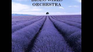 Brass Wires Orchestra - People & Humans