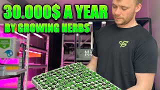 Growing 30.000$ Worth Of Herbs Annually In A Shipping Container