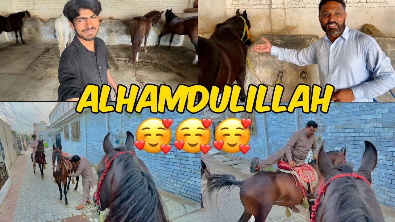 2 New HORSE 🤩❤️|| Bhai Waseem Book For Mela🤣😆|| Best Vlog❤️