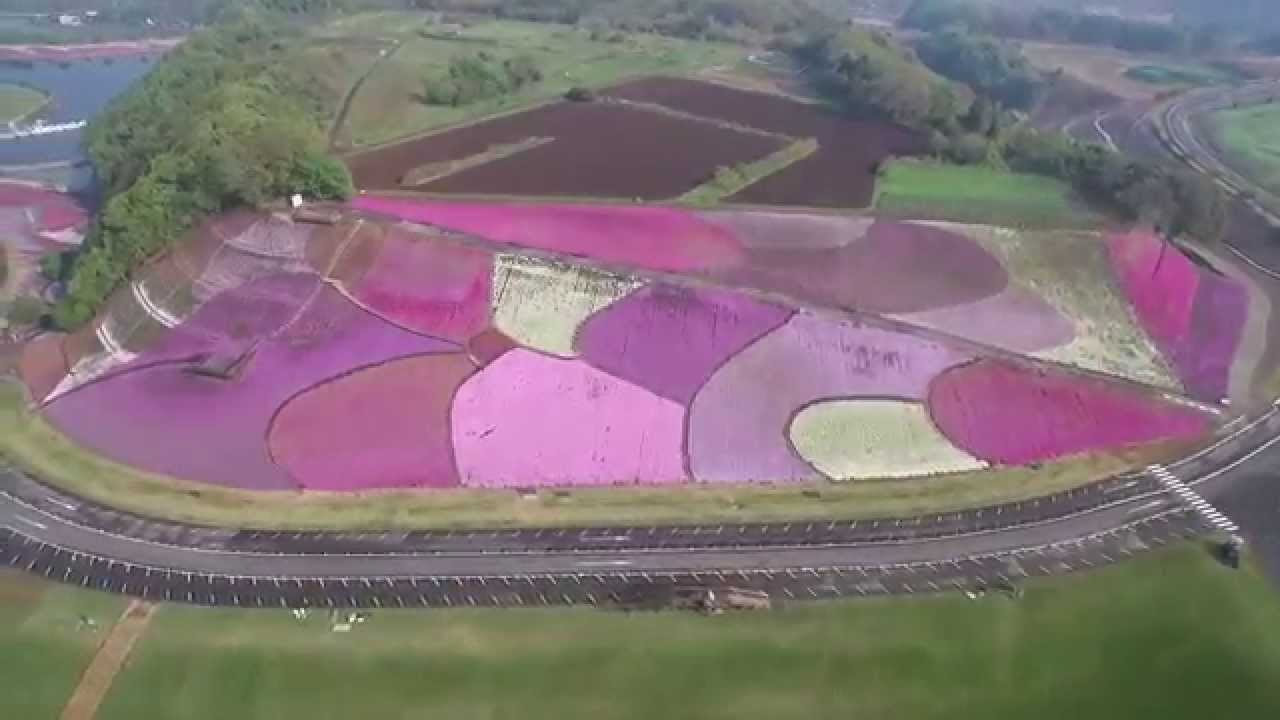空からの美しい花の風景 東京ドイツ村の芝桜 Youtube