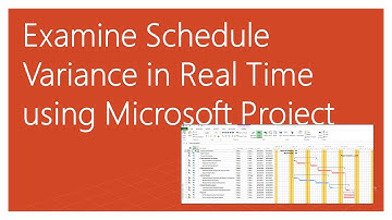 How to Examine Schedule Variance in Real Time using Microsoft Project ?