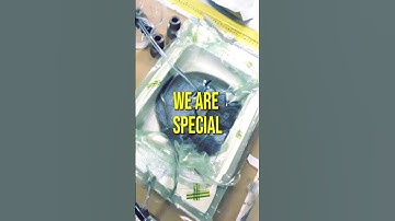 You might understand