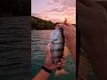 POV:바다낚시 시점 #fishing #ai #shorts