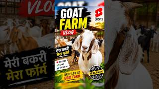 Bakri Farm Ka Full Tour 🐐 | Real Goat Farm Vlog Hindi #shorts #viral #trending