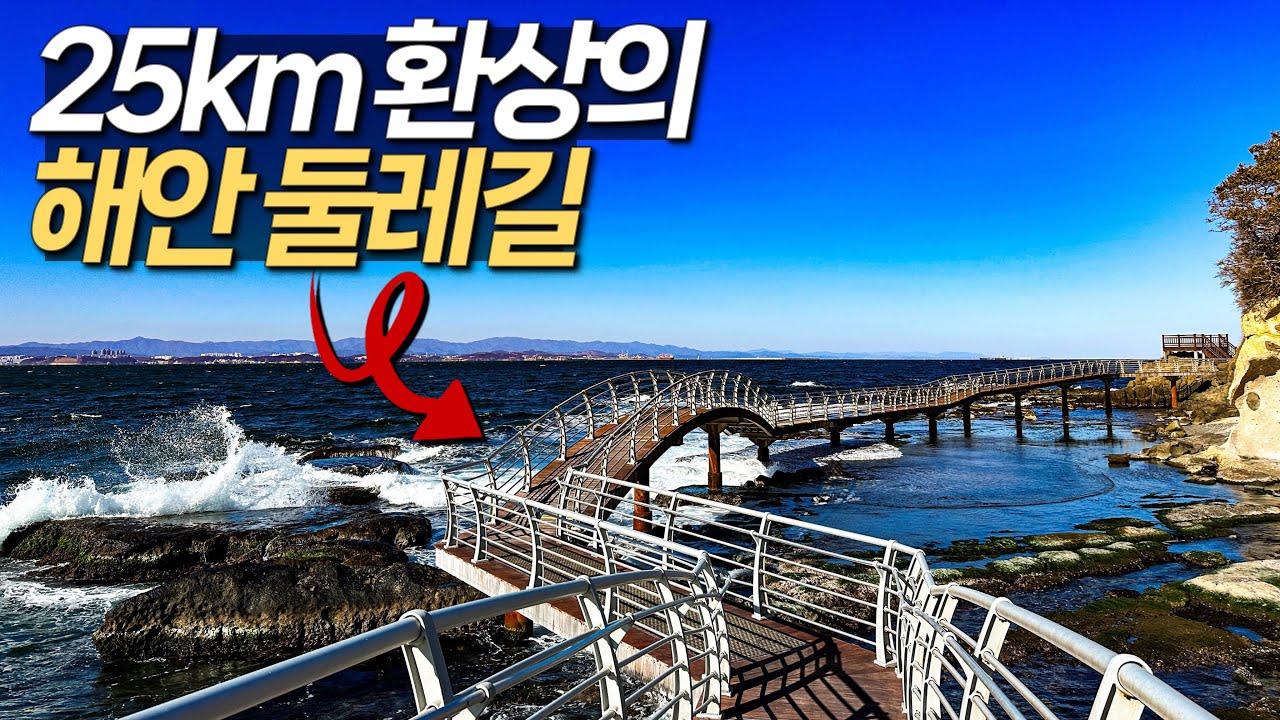총 거리 25km! 천혜의 경관을 자랑하는 환상의 해안 둘레길 | 대중교통 국내여행 | 겨울 동해 트레킹 | 호미반도해안둘레길 | 경북 포항