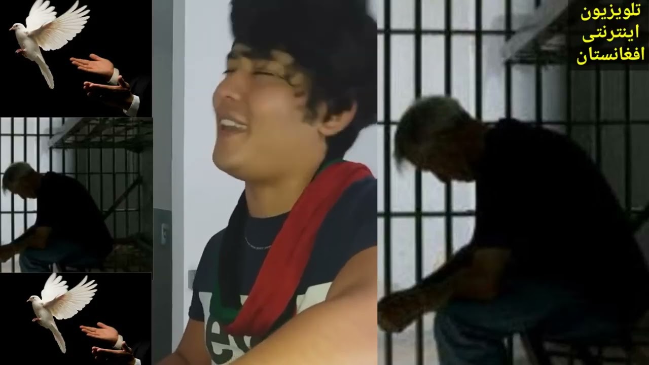 اهنگ زندانی همایون غزنوی تقدیم به تمام زندانیان