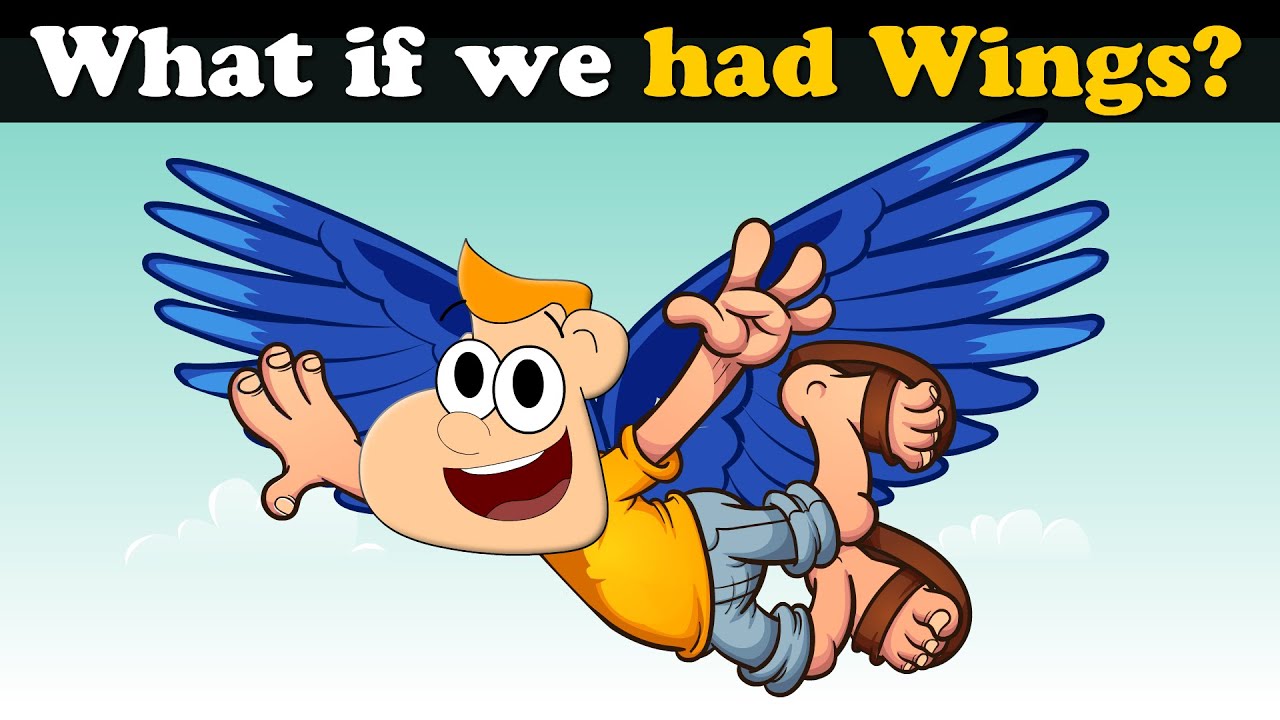 What If We Had Wings More Videos aumsum kids science education What if we had wings more videos aumsum kids science education