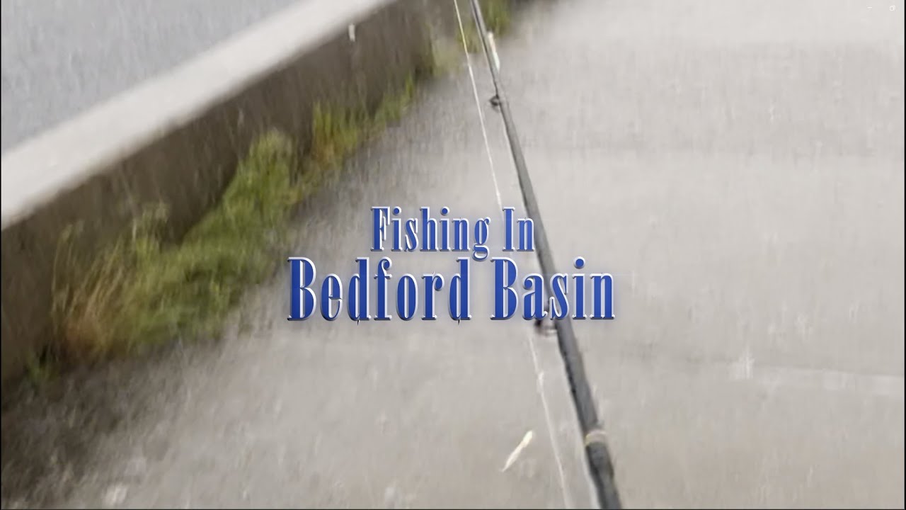 Fishing Mill Cove Wharf, Halifax NS YouTube