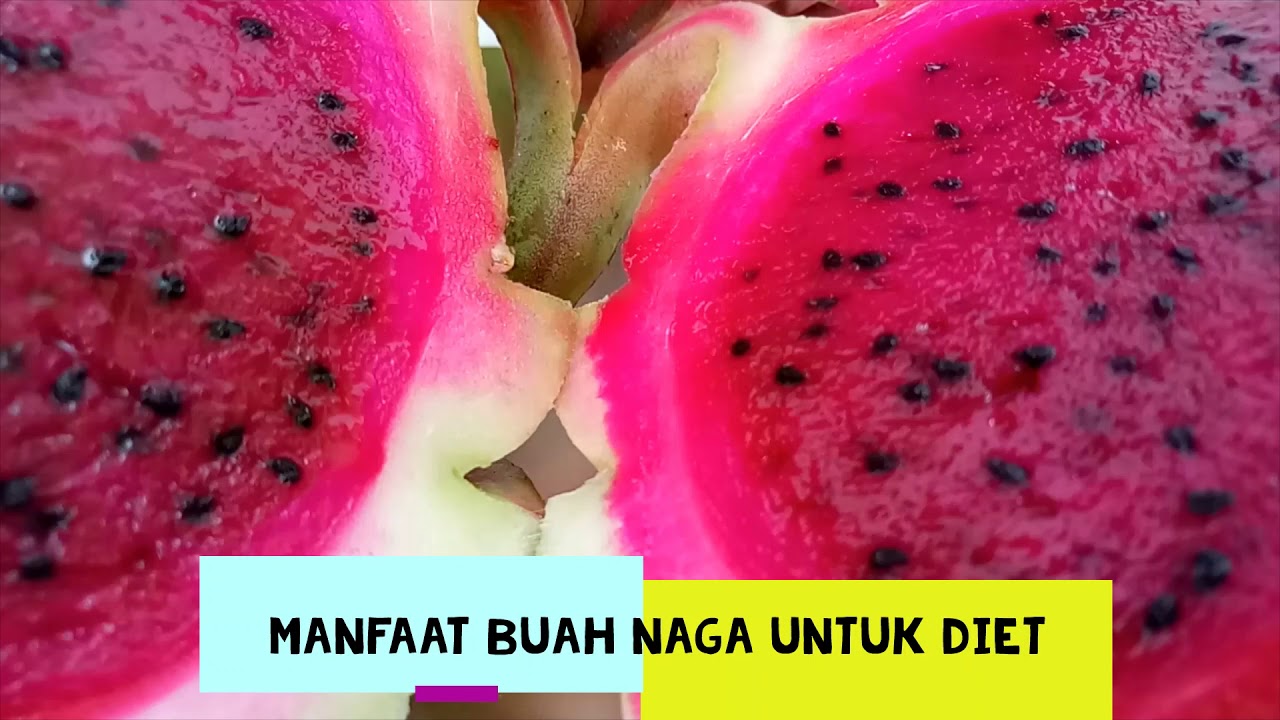 KHASIAT BUAH NAGA UNTUK MENURUNKAN BERAT BADAN 