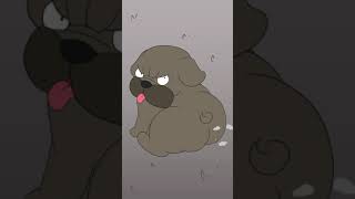 Im Not Your Brah Animation Meme Credits To