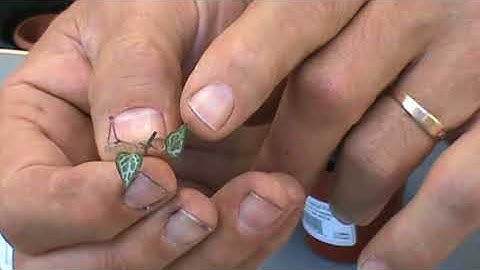 Propagating the String of Hearts (also known as The Rosary Vine -Ceropegia Woodii) -The Plant Farm®