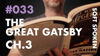 #033 - The Great Gatsby Ch.3 - Soft Spoken ASMR Audiobook