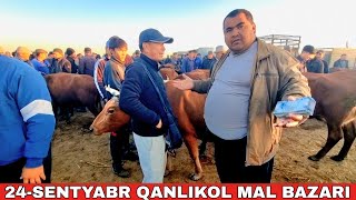 видео: 24-СЕНТЯБРЬ/КАНЛЫКОЛ МАЛ БАЗАРЫ/СКОТНЫЙ РЫНОК/BUQALAR/BIG BULLS IN THE WORLD/BIG COW картинка: 24-СЕНТЯБРЬ/КАНЛЫКОЛ МАЛ БАЗАРЫ/СКОТНЫЙ РЫНОК/BUQALAR/BIG BULLS IN THE WORLD/BIG COW