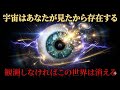 二重スリット実験の最終結論：現実を決めるのは「あなたが見る」ことだった