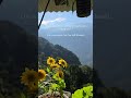 Thank you #shorts #quotes #viral #youtubeshorts
