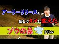 アーリーリリースを治してタメに変えた【ゾウの鼻ドリル】ゴルフ レッスン ダフリトップ