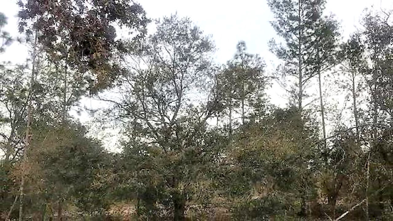 Lots And Land for sale Lot A141 Leisure Lakes Drive, Chipley, FL