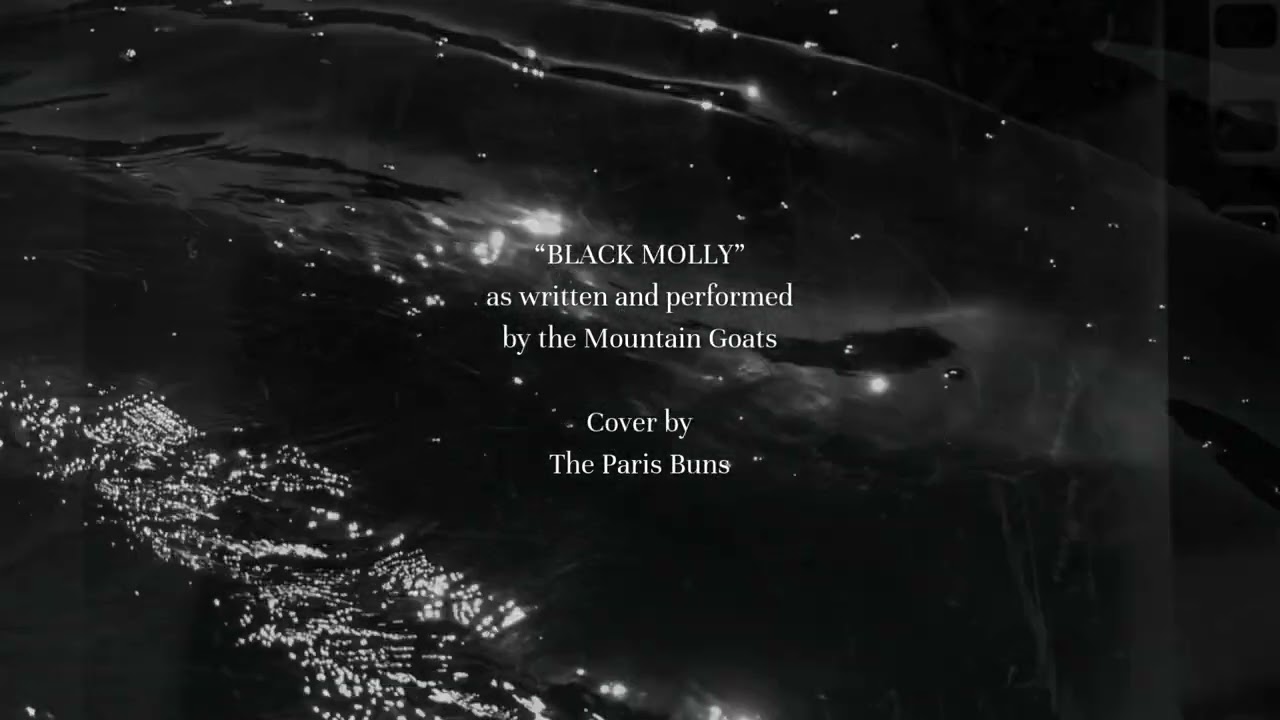 Black Molly (a Mountain Goats cover by the Paris Buns)