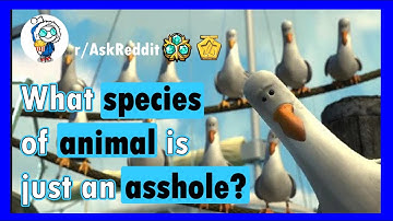 What species of animal is just a PRICK? (r/AskReddit)
